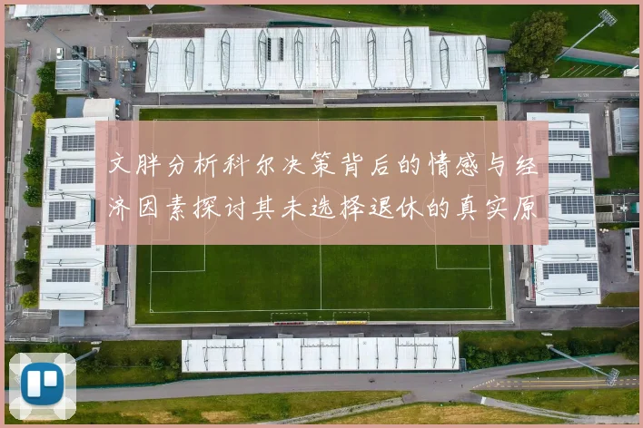 文胖分析科尔决策背后的情感与经济因素探讨其未选择退休的真实原因