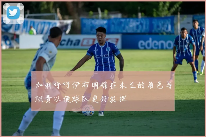 加利呼吁伊布明确在米兰的角色与职责以便球队更好发挥